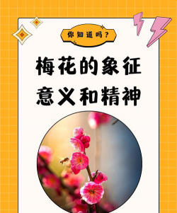 家里阳光不足怎么养花，选对植物种类，掌握养护技巧