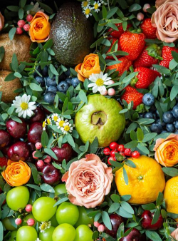 秋天有哪些花有哪些果子成熟了 秋天有哪些花有哪些果子成熟了