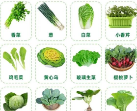家里阳光不足怎么养花，选对植物种类，掌握养护技巧