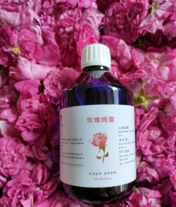 家里阳光不足怎么养花，选对植物种类，掌握养护技巧