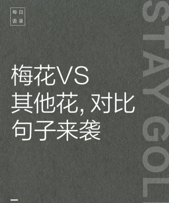 家里阳光不足怎么养花，选对植物种类，掌握养护技巧