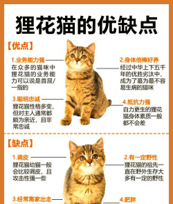 家里阳光不足怎么养花，选对植物种类，掌握养护技巧