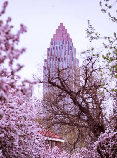 家里阳光不足怎么养花，选对植物种类，掌握养护技巧