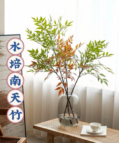 家里阳光不足怎么养花，选对植物种类，掌握养护技巧