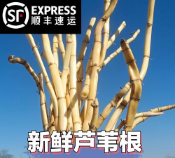 家里阳光不足怎么养花，选对植物种类，掌握养护技巧