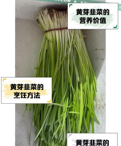 家里阳光不足怎么养花，选对植物种类，掌握养护技巧