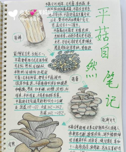 家里阳光不足怎么养花，选对植物种类，掌握养护技巧