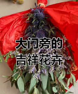 家里阳光不足怎么养花，选对植物种类，掌握养护技巧