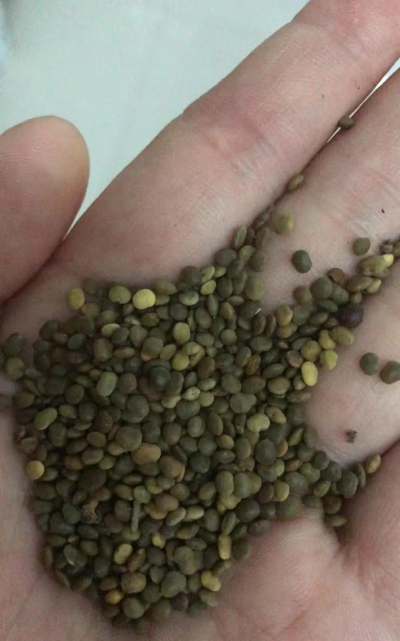 小众送妈妈的花有哪些花