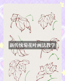 家里阳光不足怎么养花，选对植物种类，掌握养护技巧