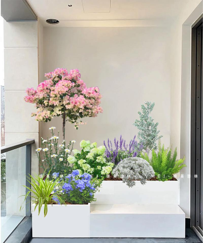 家里阳光不足怎么养花，选对植物种类，掌握养护技巧