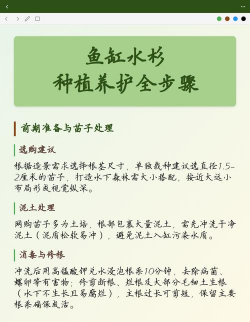 家里阳光不足怎么养花，选对植物种类，掌握养护技巧