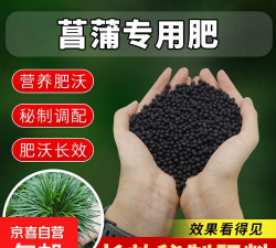 家里阳光不足怎么养花，选对植物种类，掌握养护技巧