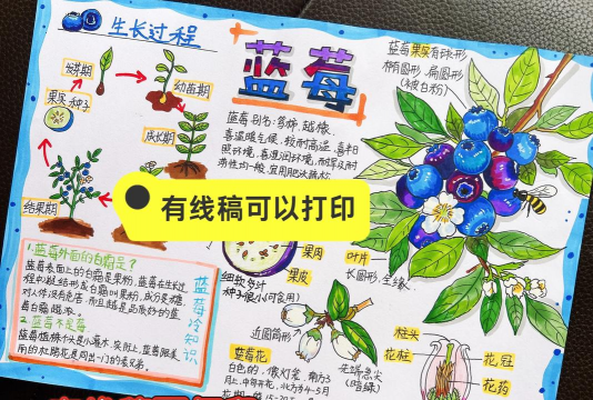 家里阳光不足怎么养花，选对植物种类，掌握养护技巧