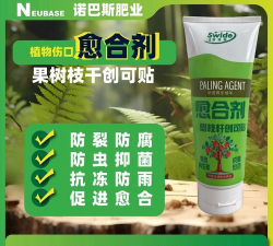 家里阳光不足怎么养花，选对植物种类，掌握养护技巧