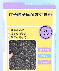 家里阳光不足怎么养花，选对植物种类，掌握养护技巧