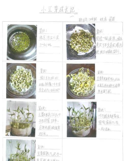 家里阳光不足怎么养花，选对植物种类，掌握养护技巧