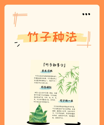 什么季节栽竹子