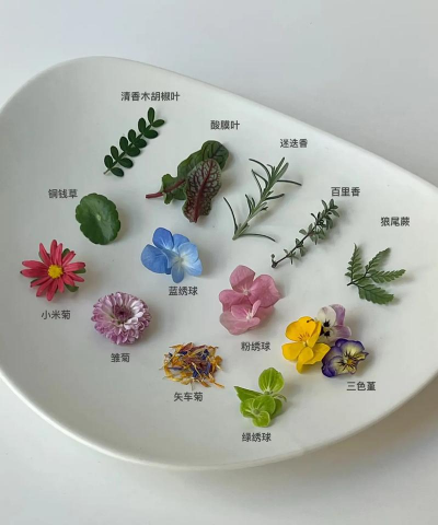 家里阳光不足怎么养花，选对植物种类，掌握养护技巧