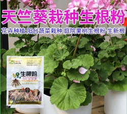 家里阳光不足怎么养花，选对植物种类，掌握养护技巧