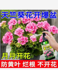家里阳光不足怎么养花，选对植物种类，掌握养护技巧
