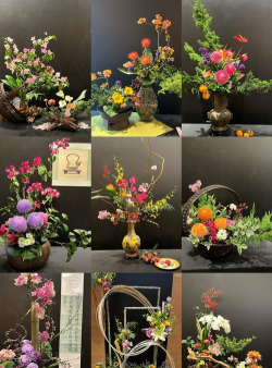 小众送妈妈的花有哪些花