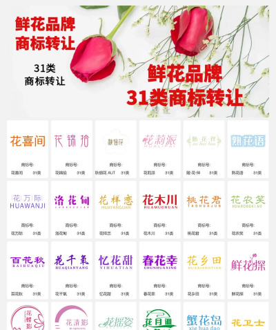 家里阳光不足怎么养花，选对植物种类，掌握养护技巧