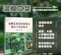 家里阳光不足怎么养花，选对植物种类，掌握养护技巧