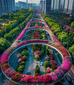 家里阳光不足怎么养花，选对植物种类，掌握养护技巧