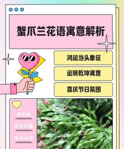 家里阳光不足怎么养花，选对植物种类，掌握养护技巧