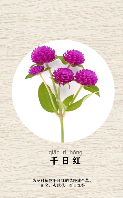 家里阳光不足怎么养花，选对植物种类，掌握养护技巧