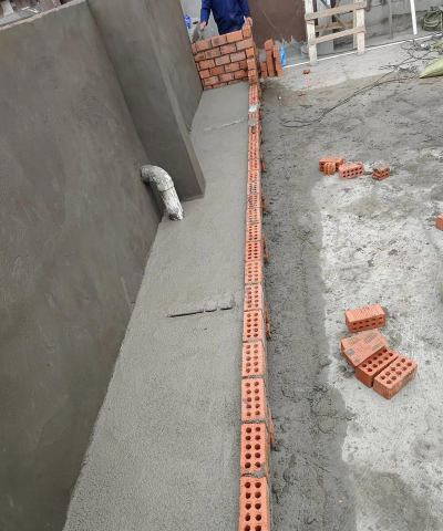 家里阳光不足怎么养花，选对植物种类，掌握养护技巧