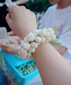 家里阳光不足怎么养花，选对植物种类，掌握养护技巧