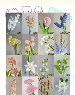 家里阳光不足怎么养花，选对植物种类，掌握养护技巧