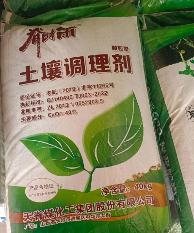 家里阳光不足怎么养花，选对植物种类，掌握养护技巧