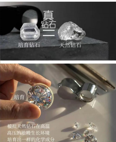 家里阳光不足怎么养花，选对植物种类，掌握养护技巧