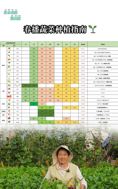 家里阳光不足怎么养花，选对植物种类，掌握养护技巧
