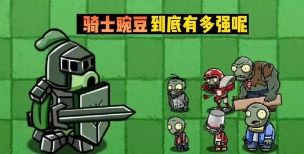 家里阳光不足怎么养花，选对植物种类，掌握养护技巧