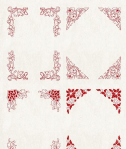 家里阳光不足怎么养花，选对植物种类，掌握养护技巧