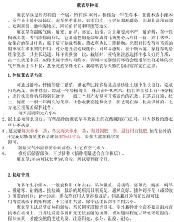 家里阳光不足怎么养花，选对植物种类，掌握养护技巧