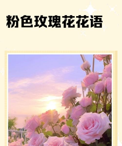 家里阳光不足怎么养花，选对植物种类，掌握养护技巧