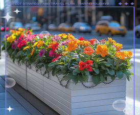 家里阳光不足怎么养花，选对植物种类，掌握养护技巧