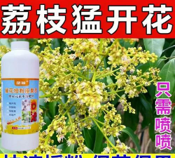 家里阳光不足怎么养花，选对植物种类，掌握养护技巧