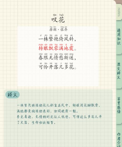 家里阳光不足怎么养花，选对植物种类，掌握养护技巧