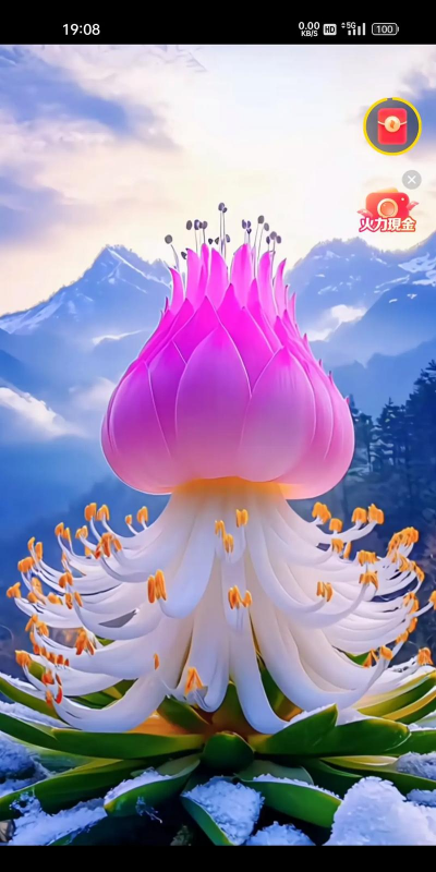 家里阳光不足怎么养花，选对植物种类，掌握养护技巧