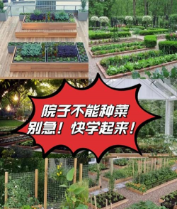 家里阳光不足怎么养花，选对植物种类，掌握养护技巧