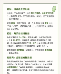 家里阳光不足怎么养花，选对植物种类，掌握养护技巧