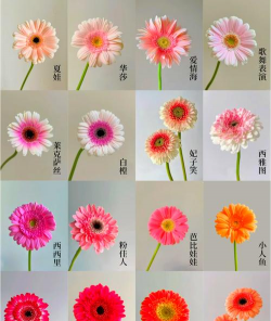 植物遗传花型有哪些花类 植物遗传花型有哪些花类