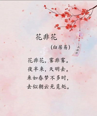 家里阳光不足怎么养花，选对植物种类，掌握养护技巧