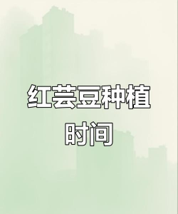 家里阳光不足怎么养花，选对植物种类，掌握养护技巧